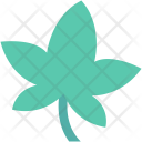 پیش‌نمایش فایل maple-leaf-22 از پک Nature And Ecology 