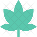 پیش‌نمایش فایل maple-leaf-23 از پک Nature And Ecology 