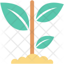 پیش‌نمایش فایل sapling-18 از پک Nature And Ecology 