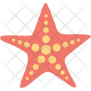 پیش‌نمایش فایل starfish-96 از پک Summer And Holidays  