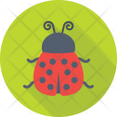 پیش‌نمایش فایل bug-360 از پک طراحی و توسعه وب