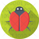 پیش‌نمایش فایل bug-361 از پک طراحی و توسعه وب