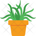 پیش‌نمایش فایل aloe-vera-3 از پک طبیعت