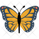 پیش‌نمایش فایل butterfly-467 از پک طبیعت