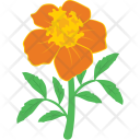 پیش‌نمایش فایل daisy-43 از پک طبیعت