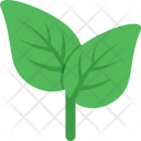 پیش‌نمایش فایل leaf-569 از پک طبیعت