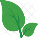 پیش‌نمایش فایل leaf-570 از پک طبیعت