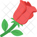 پیش‌نمایش فایل rose-211 از پک طبیعت