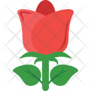پیش‌نمایش فایل rosebud-52 از پک طبیعت