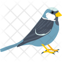 پیش‌نمایش فایل sparrow-148 از پک طبیعت