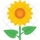 پیش‌نمایش فایل sunflower-144 از پک طبیعت