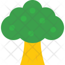 پیش‌نمایش فایل tree-1171 از پک طبیعت