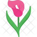 پیش‌نمایش فایل amaryllis-16 از پک طبیعت