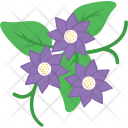 پیش‌نمایش فایل anemone-30 از پک طبیعت