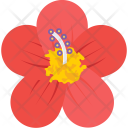 پیش‌نمایش فایل anemone-31 از پک طبیعت