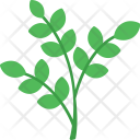 پیش‌نمایش فایل branch-60 از پک طبیعت
