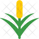 پیش‌نمایش فایل bull-rush از پک طبیعت