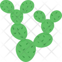 پیش‌نمایش فایل cactus-195 از پک طبیعت