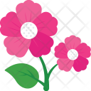 پیش‌نمایش فایل daisy-45 از پک طبیعت