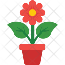 پیش‌نمایش فایل daisy-47 از پک طبیعت