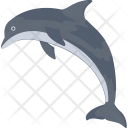 پیش‌نمایش فایل dolphin-117 از پک طبیعت