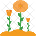 پیش‌نمایش فایل flower-1483 از پک طبیعت