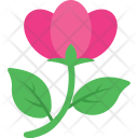 پیش‌نمایش فایل hibiscus-18 از پک طبیعت