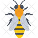 پیش‌نمایش فایل honey-bee-15 از پک طبیعت