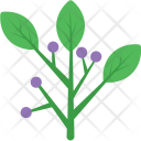 پیش‌نمایش فایل hyacinth-3 از پک طبیعت
