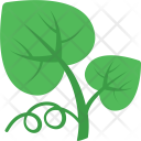 پیش‌نمایش فایل leaf-571 از پک طبیعت