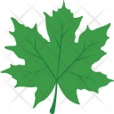 پیش‌نمایش فایل maple-leaf-24 از پک طبیعت