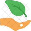 پیش‌نمایش فایل plantation-20 از پک طبیعت