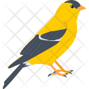 پیش‌نمایش فایل sparrow-149 از پک طبیعت