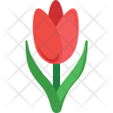 پیش‌نمایش فایل tulip-114 از پک طبیعت