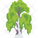 پیش‌نمایش فایل weeping-willow-5 از پک طبیعت