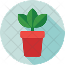پیش‌نمایش فایل plantation-21 از پک علم و تکنولوژی