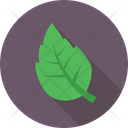 پیش‌نمایش فایل leaf-572 از پک علم و تکنولوژی