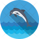 پیش‌نمایش فایل dolphin-118 از پک تابستان و سفر