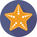 پیش‌نمایش فایل starfish-100 از پک تابستان و سفر