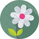 پیش‌نمایش فایل daisy-49 از پک تابستان و سفر