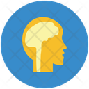 پیش‌نمایش فایل brain-953964 از پک پزشکی