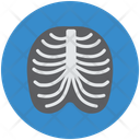پیش‌نمایش فایل human-ribs-953931 از پک پزشکی