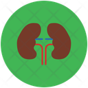 پیش‌نمایش فایل kidneys-953928 از پک پزشکی