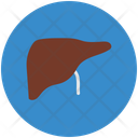 پیش‌نمایش فایل liver-953925 از پک پزشکی