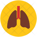پیش‌نمایش فایل lungs-953922 از پک پزشکی