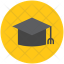 پیش‌نمایش فایل mortarboard-953943 از پک پزشکی