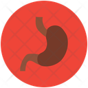 پیش‌نمایش فایل stomach-953918 از پک پزشکی