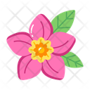 پیش‌نمایش فایل blooming-plumeria-15601132 از پک تابستان