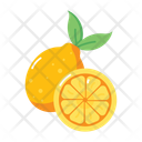 پیش‌نمایش فایل citrus-zest-15601138 از پک تابستان
