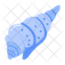 پیش‌نمایش فایل ocean-shell-15601174 از پک تابستان